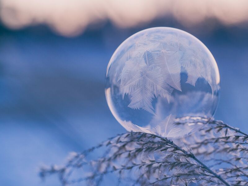 Button for Holiday 2017 Newsletter: Ice bubble resting on branch