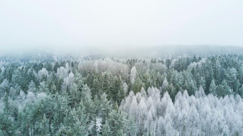 winter photo linking to winter 2020 newsletter